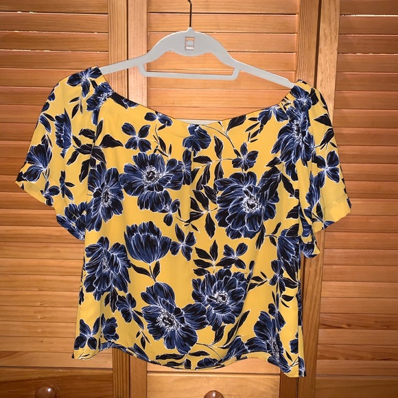 Olivaceous Yellow Top - Picture 2 of 3